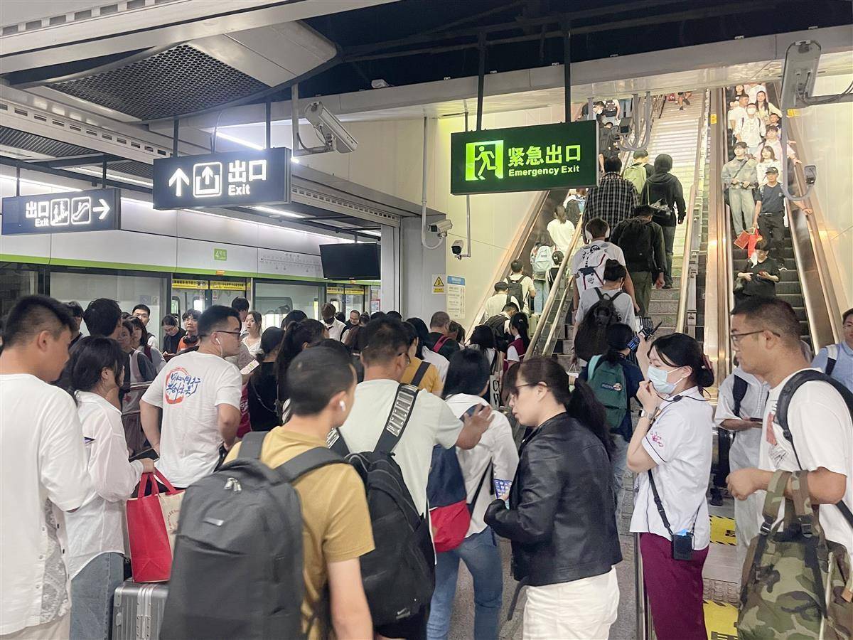 白菜网站大全